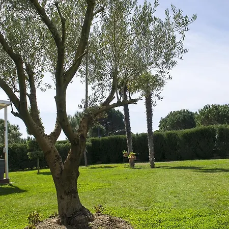 Primavera Hotel 4*