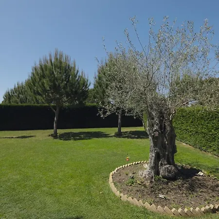 Primavera 4*